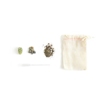 Load image into Gallery viewer, Mini Cactus Kit-real cactus and handmade pink ceramic vase