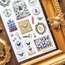Load image into Gallery viewer, Entomology Collection Sticker Sheet