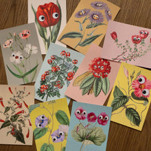 Load image into Gallery viewer, Googly Botany - assorted Postcards