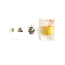 Load image into Gallery viewer, Mini Cactus Kit-real cactus and yellow ceramic vase