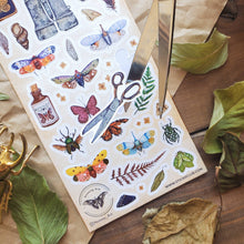 Load image into Gallery viewer, Wings & Wonders Sticker Sheet