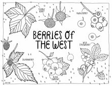 Load image into Gallery viewer, West Coast Wonderful Coloring Book