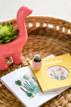 Load image into Gallery viewer, Mini Cactus Kit-real cactus and handmade pink ceramic vase