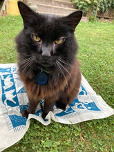 Load image into Gallery viewer, Cozy Cats Bandana
