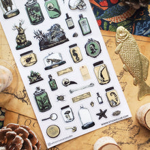 Load image into Gallery viewer, Curious Specimens Sticker Sheet by @whiteriverartstudio