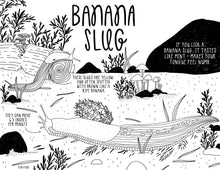 Load image into Gallery viewer, West Coast Wonderful Coloring Book