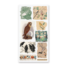 Load image into Gallery viewer, Feathers in Time Sticker Sheet
