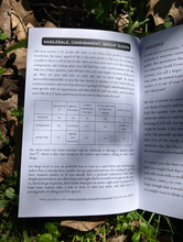 Load image into Gallery viewer, How To Sell Your Arts N Crafts Zine