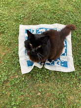 Load image into Gallery viewer, Cozy Cats Bandana
