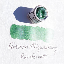 Load image into Gallery viewer, Paintstones