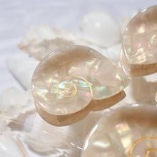 Load image into Gallery viewer, Siren Sea Shell Mini Hair Claw