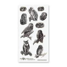 Load image into Gallery viewer, Woodland Watchers Sticker Sheet