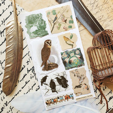 Load image into Gallery viewer, Feathers in Time Sticker Sheet