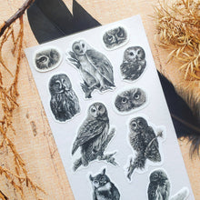 Load image into Gallery viewer, Woodland Watchers Sticker Sheet