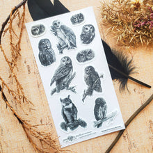 Load image into Gallery viewer, Woodland Watchers Sticker Sheet