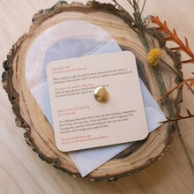 Load image into Gallery viewer, Camera Enamel Pin