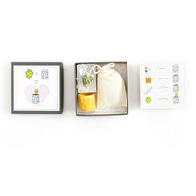 Load image into Gallery viewer, Mini Cactus Kit-real cactus and yellow ceramic vase