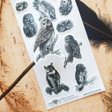 Load image into Gallery viewer, Woodland Watchers Sticker Sheet