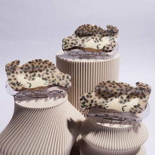 Load image into Gallery viewer, Ronan Speckled Seals Hair Claw