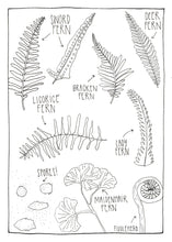 Load image into Gallery viewer, Ferns of The PNW Coloring Postcard