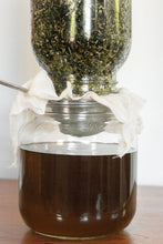 Load image into Gallery viewer, Verdant Greens Scalp + Hair Oil