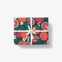 Load image into Gallery viewer, Winter Zest Double Sided Gift Wrap
