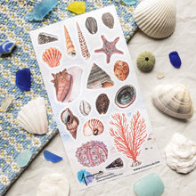 Load image into Gallery viewer, Treasures of the Tide Sticker Sheet
