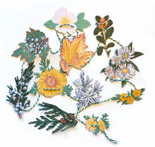 Load image into Gallery viewer, Pacific Northwest Native Plants Mini Paper Garland 
