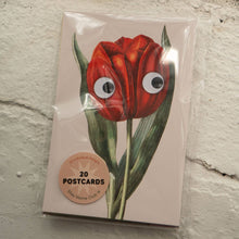 Load image into Gallery viewer, Googly Botany - assorted Postcards
