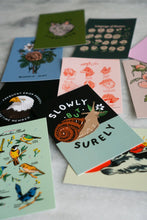 Load image into Gallery viewer, Stay Home Club Postcards assorted
