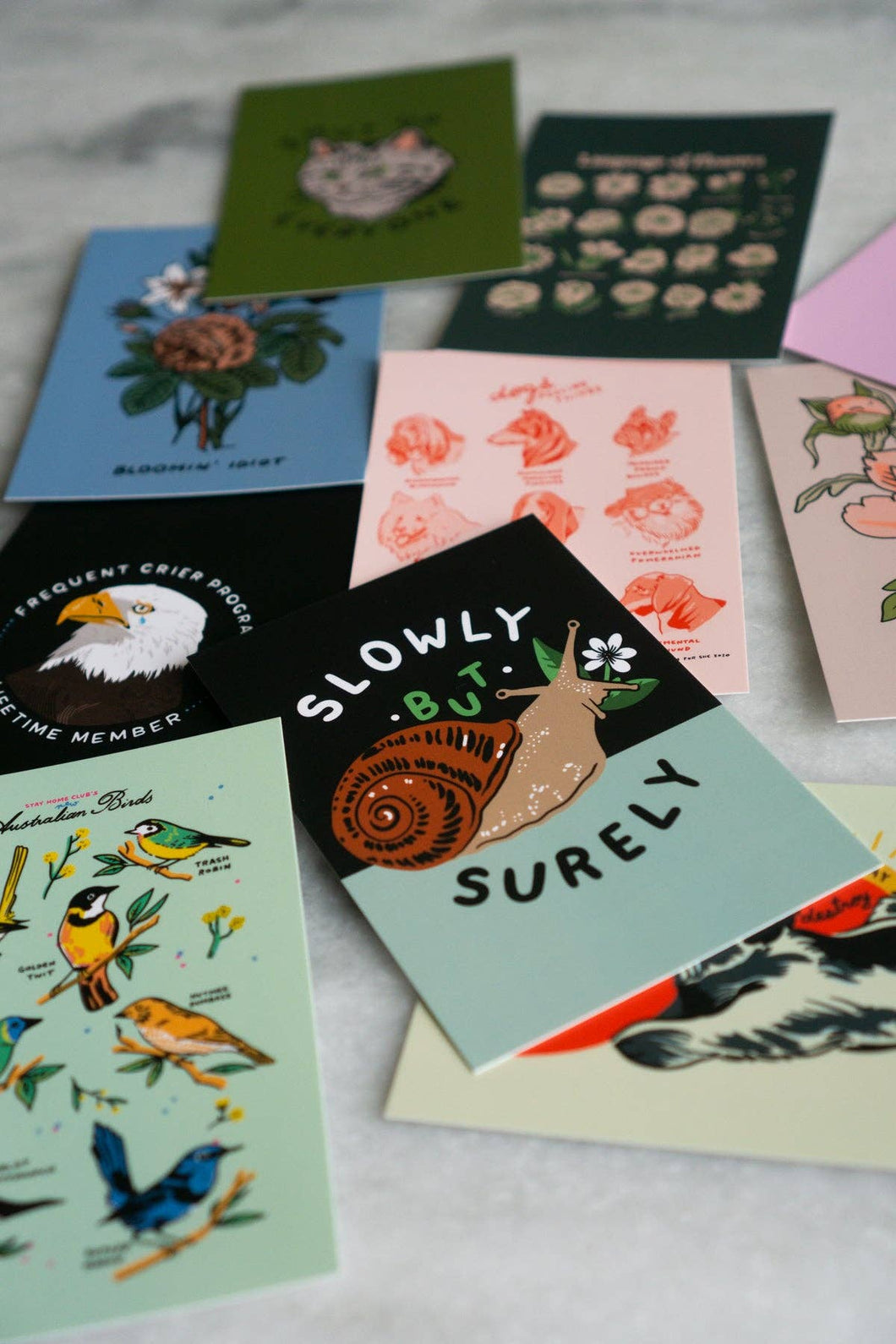Stay Home Club Postcards assorted