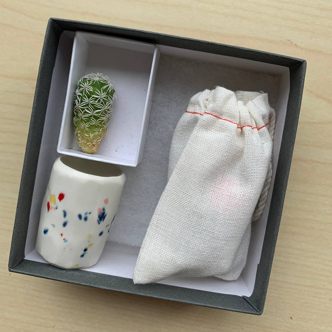 Mini Cactus Kit-includes handmade speckled ceramic vase
