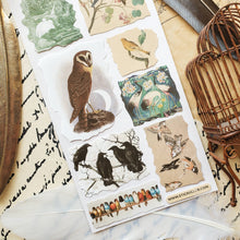 Load image into Gallery viewer, Feathers in Time Sticker Sheet

