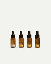 Load image into Gallery viewer, Everyday Oil - Mini oil kit
