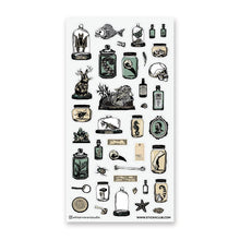 Load image into Gallery viewer, Curious Specimens Sticker Sheet by @whiteriverartstudio
