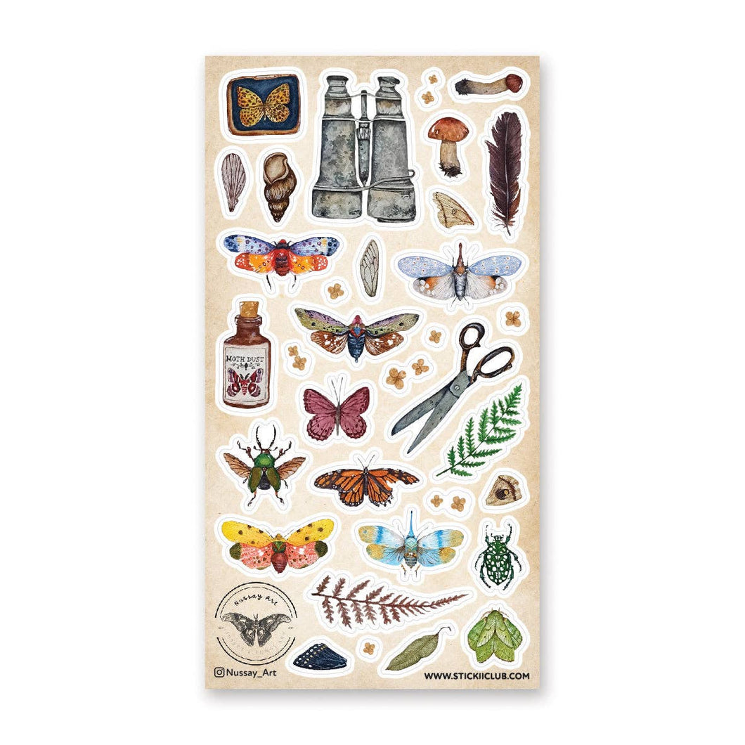 Wings & Wonders Sticker Sheet