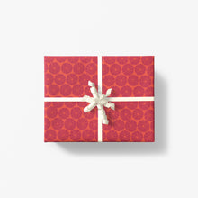 Load image into Gallery viewer, Winter Zest Double Sided Gift Wrap
