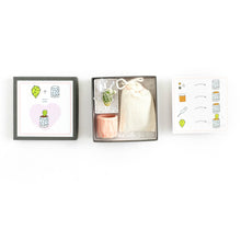 Load image into Gallery viewer, Mini Cactus Kit-real cactus and handmade pink ceramic vase
