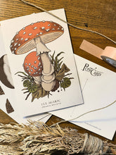 Load image into Gallery viewer, Mushroom Postcard Set
