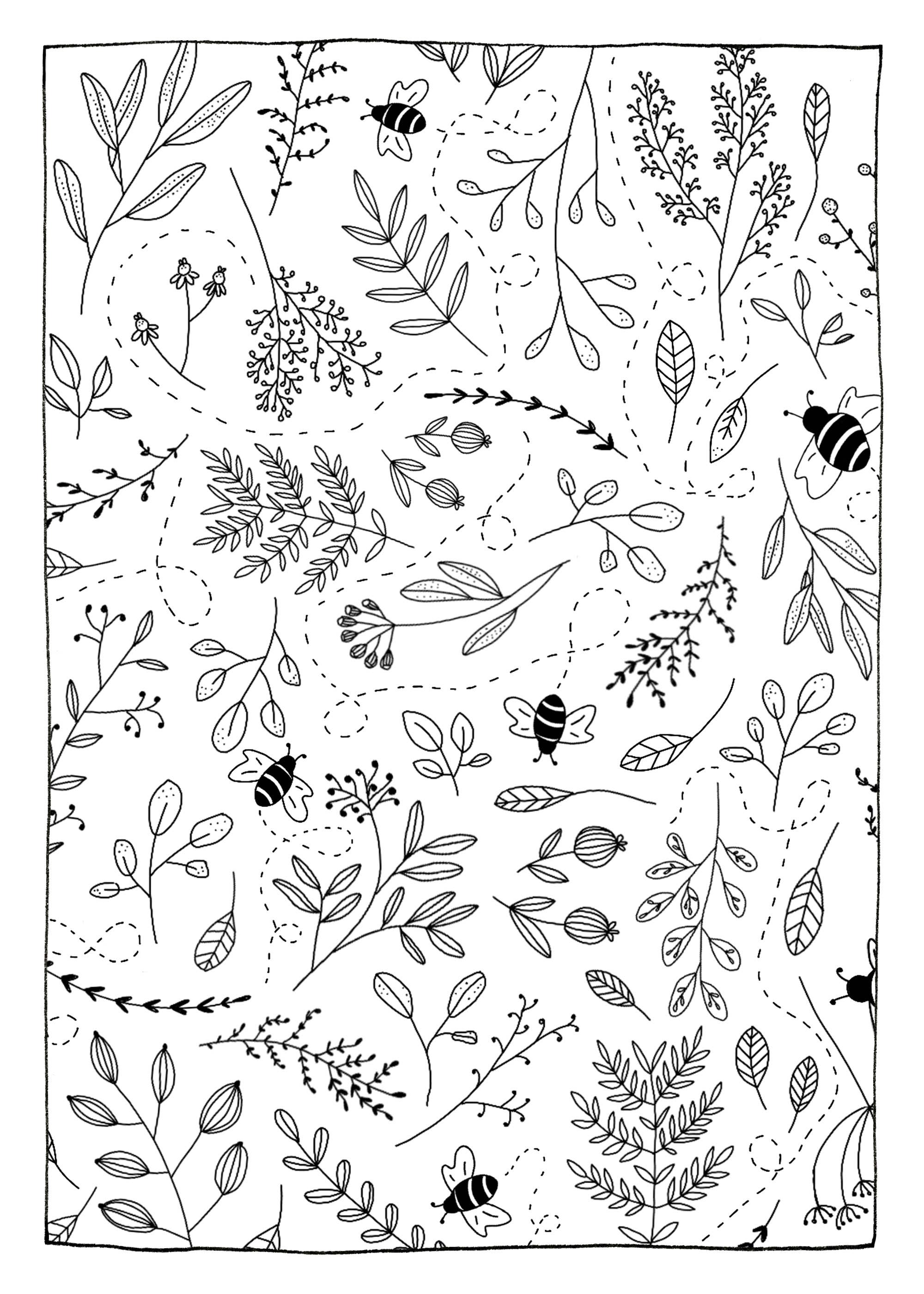 Pollinators Coloring Postcard – Lauda